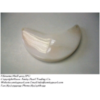 Shell 4015.JPG